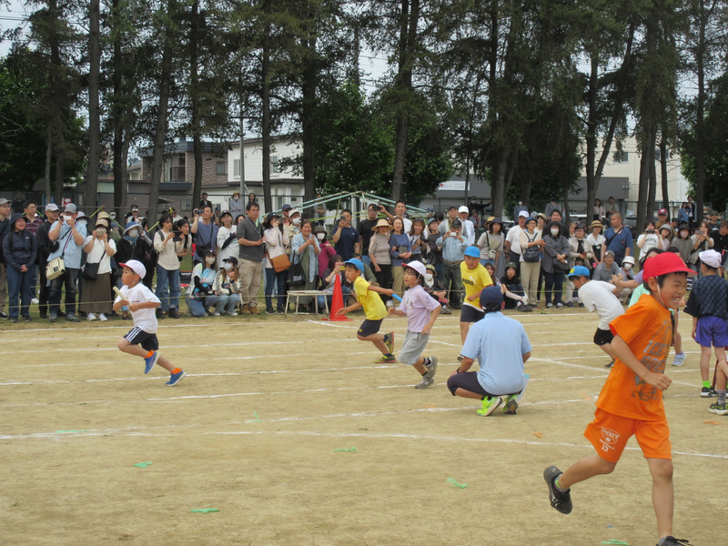 img_7911.jpg