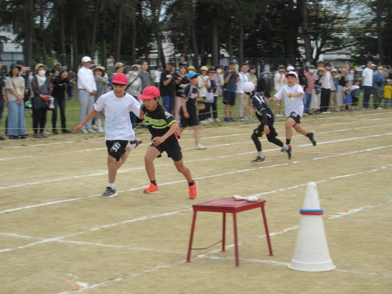 img_7914.jpg