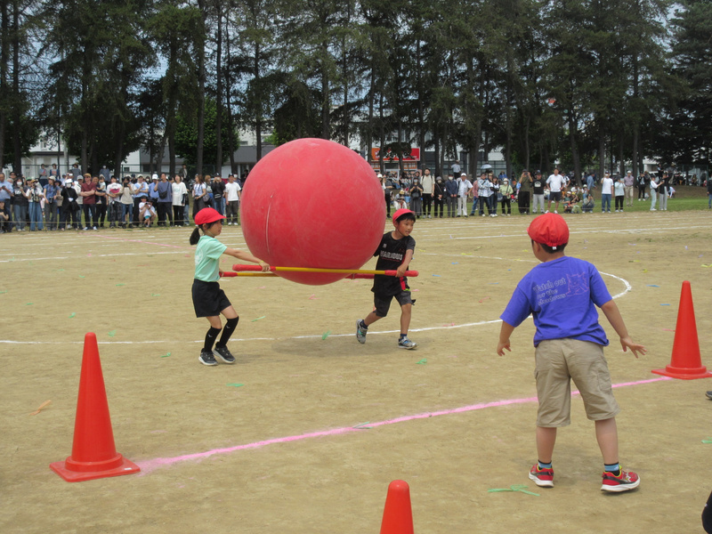 img_7898_20250607155243272.jpg