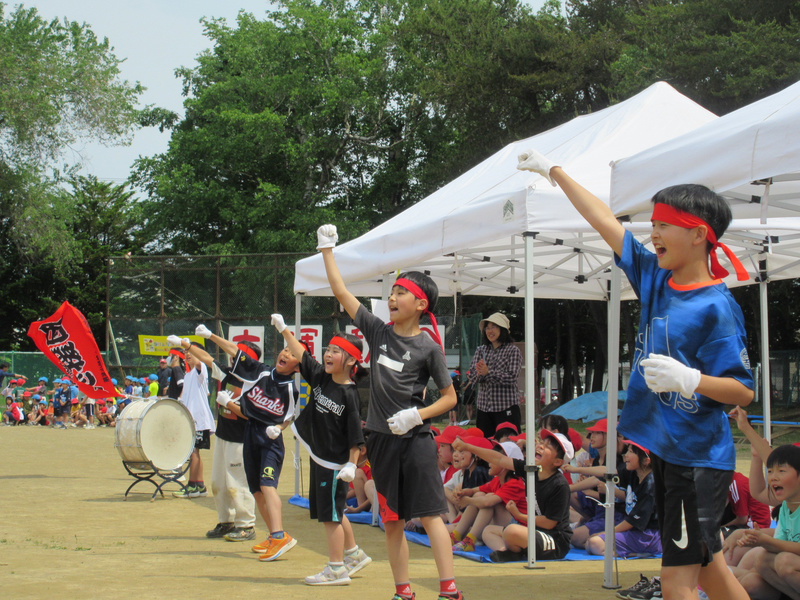 img_7894_20250607155243225.jpg