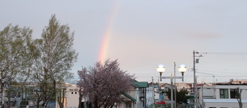 img_4647.jpg